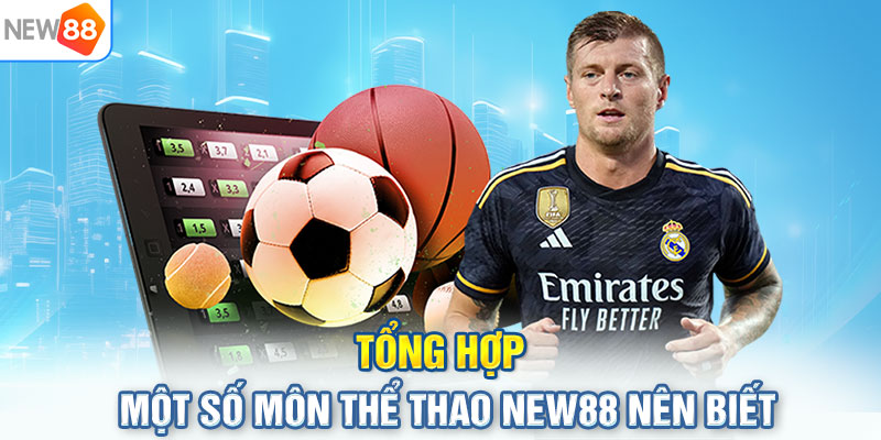 Tổng hợp một số môn thể thao NEW88 nên biết