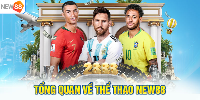Tổng quan về thể thao NEW88